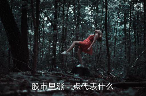 股市里漲一點代表什么