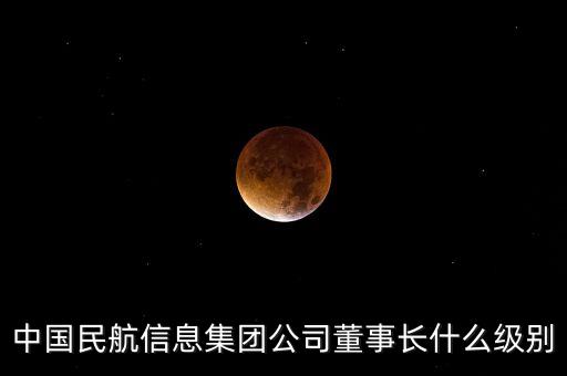 中國(guó)民航信息集團(tuán)公司董事長(zhǎng)什么級(jí)別