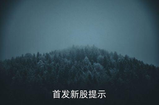 首發(fā)新股提示