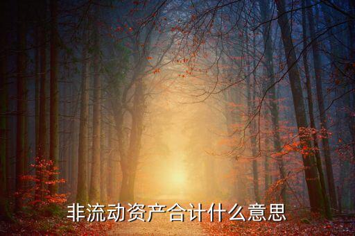 其他非流動(dòng)資產(chǎn)增加說明什么，非流動(dòng)資產(chǎn)合計(jì)什么意思