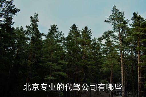 北京什么代駕活的多，北京最好的代駕公司是哪家