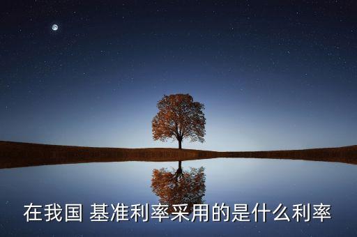 國際的基準(zhǔn)利率制定依據(jù)是什么，基準(zhǔn)利率 的形成機(jī)制是什么記住是要形成機(jī)制而不是名詞