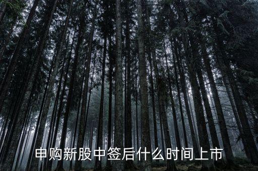 申購新股中簽后什么時間上市
