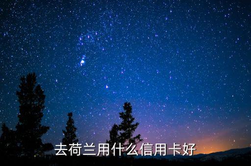 中國(guó)荷蘭兩地走要開張什么銀行卡，去歐洲旅游辦張那種的銀行卡方便呢