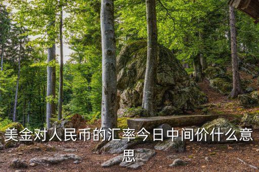 美金對(duì)人民幣的匯率今日中間價(jià)什么意思