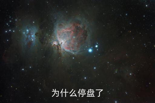 寶馨科技為什么停盤，寶馨科技1月31日要停牌嗎