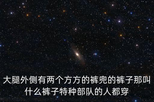 大腿外側(cè)有兩個方方的褲兜的褲子那叫什么褲子特種部隊(duì)的人都穿