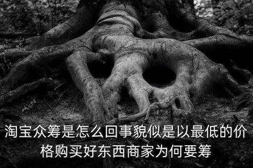 淘寶眾籌是怎么回事貌似是以最低的價格購買好東西商家為何要籌