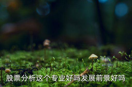 股票分析專(zhuān)業(yè)是什么，股票分析這個(gè)專(zhuān)業(yè)好嗎發(fā)展前景好嗎