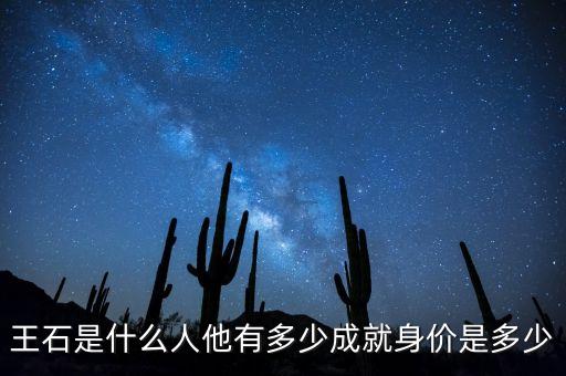 王石是什么人他有多少成就身價是多少