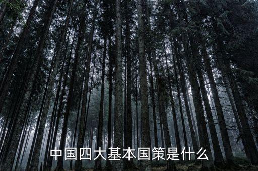 四大國(guó)家戰(zhàn)略是什么，中國(guó)四大基本國(guó)策是什么