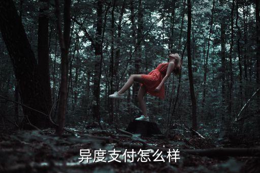 異度支付怎么樣