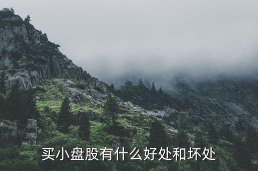股票盤子小有什么好處，盤子大流通股本小有什么好處