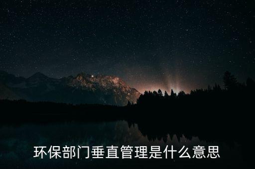 什么是垂直化管理，什么是審計集中化和垂直化管理制度