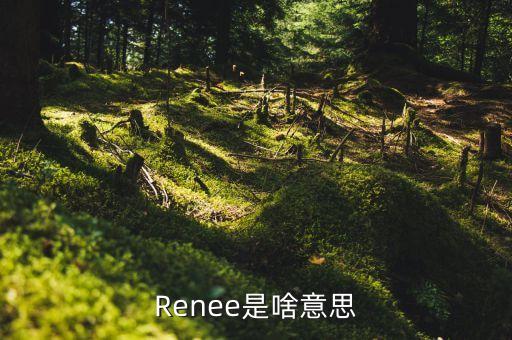 脫媒是什么意思，ojp是什么意思