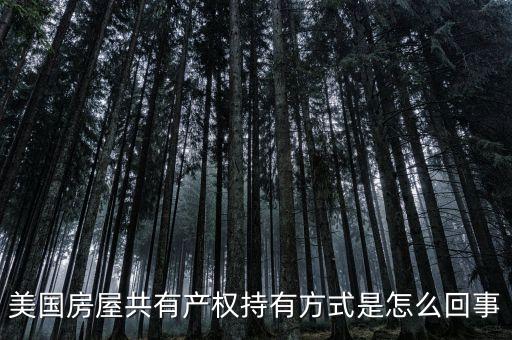 什么是共有產(chǎn)權(quán)產(chǎn)權(quán)模式，美國房屋共有產(chǎn)權(quán)持有方式是怎么回事