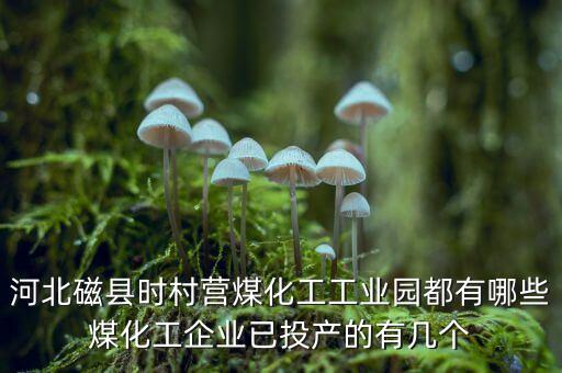 磁縣黑貓生產(chǎn)什么，黑貓是什么廠