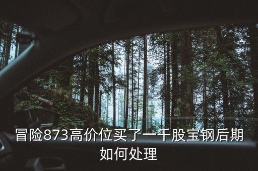 為什么大寧板塊房價瘋漲，8月11日房地產(chǎn)板塊漲幅領(lǐng)頭的原因