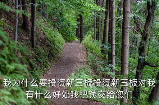 為什么投資新三板，我為什么要投資新三板投資新三板對我有什么好處我把錢交給您們