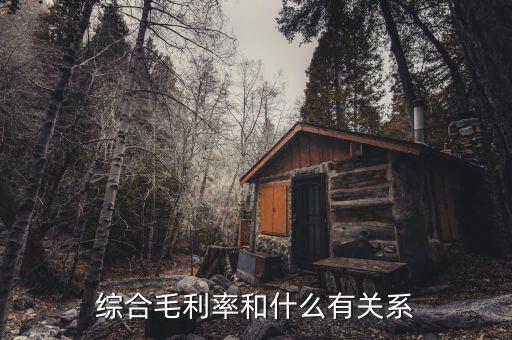 什么是綜合毛利，綜合毛利率和什么有關(guān)系