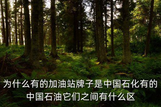為什么中石化和中石油不，中石油中石化中海油為什么不合并