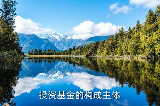 基金主體是什么意思，證券投資基金的主體