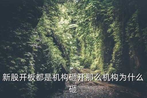 新股開板都是機(jī)構(gòu)砸開那么機(jī)構(gòu)為什么砸