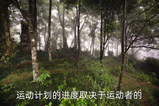 進(jìn)度安排的靈活性是什么決定，運(yùn)動(dòng)計(jì)劃的進(jìn)度取決于運(yùn)動(dòng)者的
