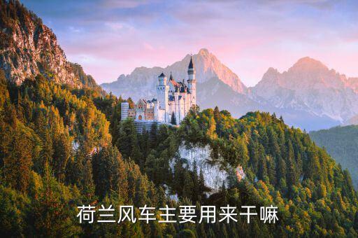 荷蘭諾唯凱是做什么的，waterwerken 這是什么 荷蘭人給的 吃的 還是干嘛的