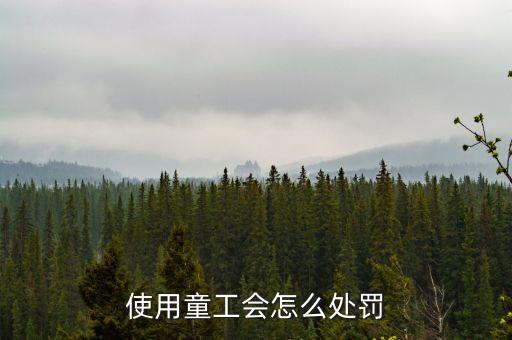 勞動法中用童工有什么懲罰，使用童工會怎么處罰