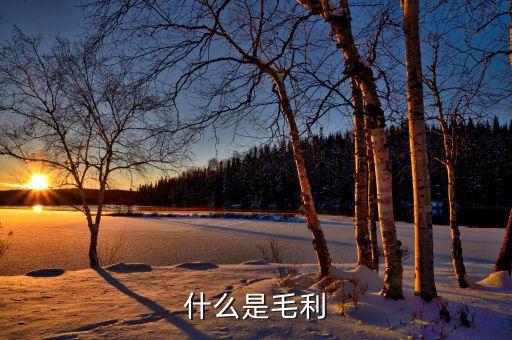 什么是產(chǎn)品毛利，什么是毛利怎么計(jì)算