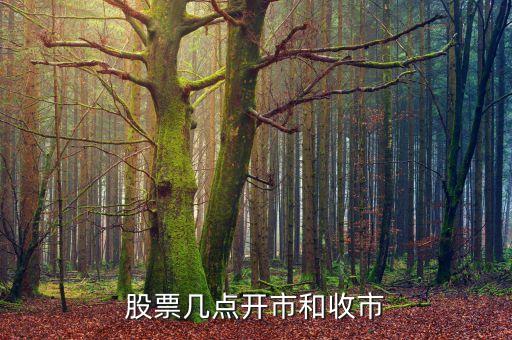 匯鴻股份什么時(shí)候開盤，股票幾點(diǎn)開盤幾點(diǎn)收盤啊
