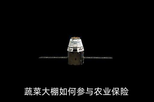 種大棚買保險陪什么，蔬菜大棚入保險請問入哪一類保險