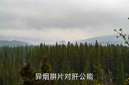 異煙胼片是治什么的，異煙肼片對肝公能
