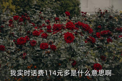 114元和24元什么意思，電費(fèi)每月1KVA24元是什么意思