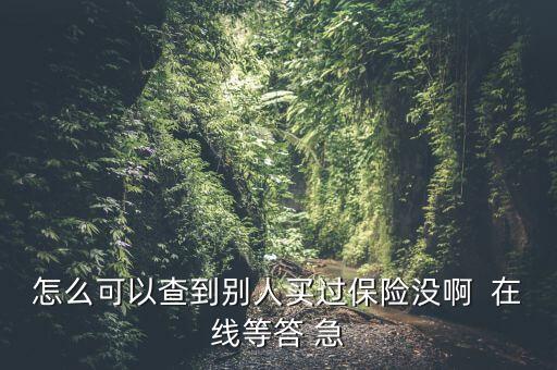 在什么網(wǎng)上查有人買保險(xiǎn)，怎么樣才能查到別人買保險(xiǎn)