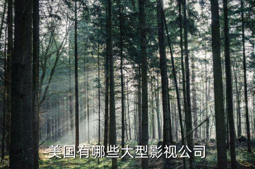 波士頓有什么大公司，美國(guó)有哪些大型影視公司