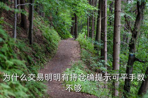 為什么有持倉量卻不可平倉，商品期貨里想平倉但平不了顯示委托數(shù)量超過持倉數(shù)量是什么原因