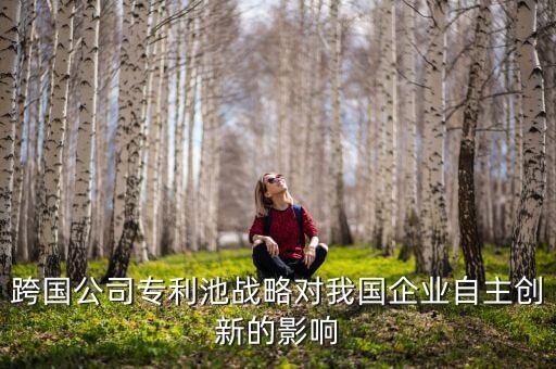 北京君正是什么公司，跨國公司專利池戰(zhàn)略對我國企業(yè)自主創(chuàng)新的影響