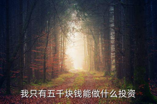 五千元投資什么好，5000元可用來投資什么呢