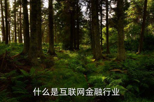 互聯(lián)網(wǎng)金融業(yè)是什么，互聯(lián)網(wǎng)金融是什么