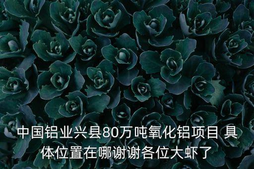 滄州中鋁神華氧化鋁在什么地方，中國鋁業(yè)興縣80萬噸氧化鋁項(xiàng)目 具體位置在哪謝謝各位大蝦了