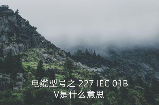ccv在電纜行業(yè)是什么的縮寫(xiě)，在電線行業(yè)BCASALMTCCCS是什么意思
