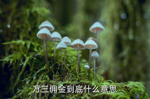 萬(wàn)三傭金到底什么意思