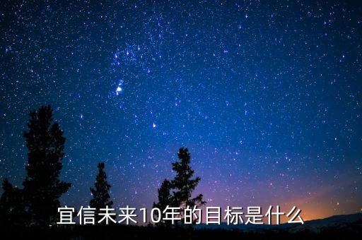 宜信未來10年的目標是什么