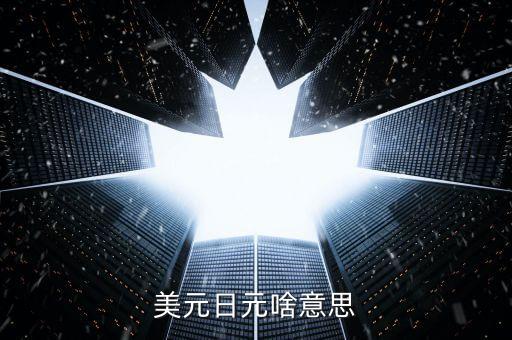 美元兌日元什么意思，1美元1284050日元中是什么意思