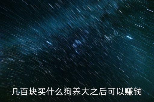 幾百塊買(mǎi)什么狗養(yǎng)大之后可以賺錢(qián)