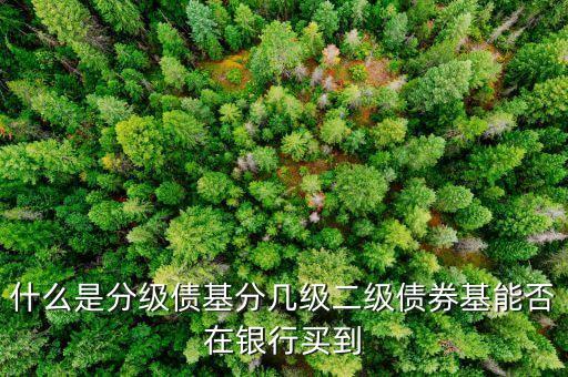 什么是分級(jí)債基分幾級(jí)二級(jí)債券基能否在銀行買到
