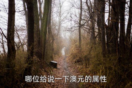為什么說(shuō)屬澳元和外延不可以，哪位給說(shuō)一下澳元的屬性