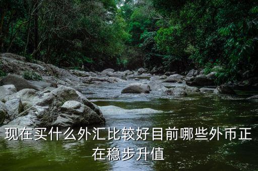 近期買什么外匯，預(yù)測(cè)人民幣匯率走勢(shì)是怎樣的 炒外匯現(xiàn)在買哪對(duì)外匯比較好